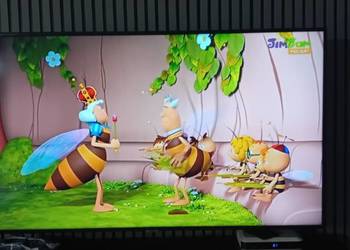 telewizor LED-LCD Samsung 55 cali