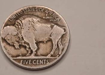 moneta USA 5 centów, 1926 Bizon/Indianin (W4)