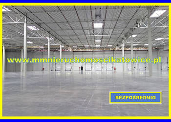 Magazyny do wynajęcia łódzkie Łowicz przy A2 plac rampy bramy "0" biura so…