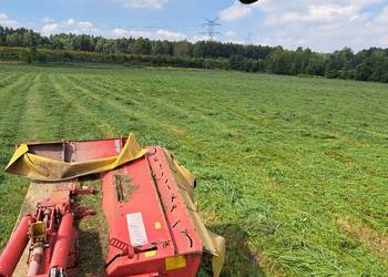 Baloty siana dla koni z transportem / bele siana bale siano / słoma siano