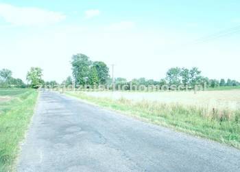 Oferta sprzedaży działki 37800m2 Modryń-Kolonia