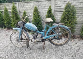 Komar sztywniak silnik kręci