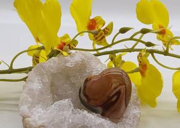 37x31mm serce z agatu naturalnego dekoracja kolekcja symbolizm #14