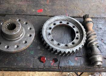 slimak slimacznica do wna wozek platformowy