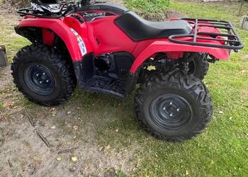 Yamaha kodiak/ grizzly 450