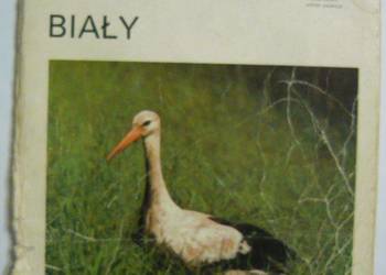 BOCIAN BIAŁY - STROJNY WŁADYSŁAW
