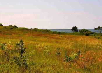 Działka rolna Gleźnówko