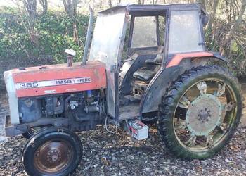 Massey Ferguson 365