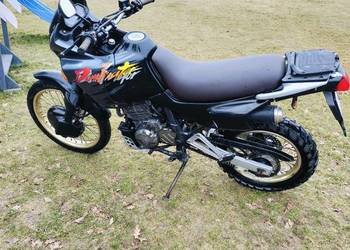 Honda dominator 650