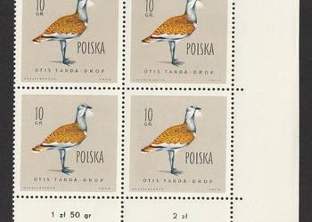 POLSKA - DROP  OTIS TARDA - 1960 - CZYSTE **