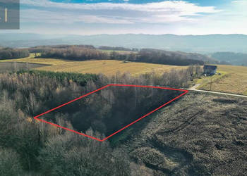 Oferta sprzedaży gruntu Niewodna 4500m2