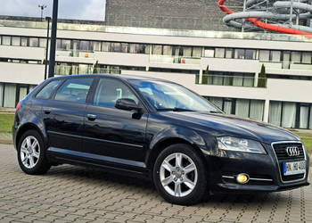Audi A3 * 2.0 COMMON RAiL* BDB STAN* KLiMAtronik* halogeny* podgrzew. fote…