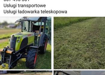 Koszenie traf usługi grebogryzarka