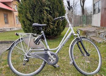 Gazelle Przywieziona z Holandii