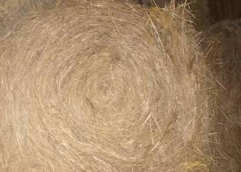 Siano i słoma w belach 130/120