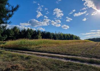 Działka Trypucie w otoczeniu lasu, szybki dojazd do miasta Białystok
