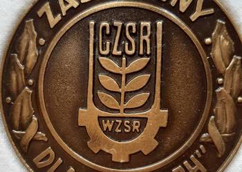 Odznaka Zasłużony dla WZSR.