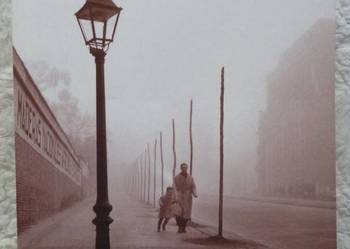 Cień wiatru Carlos Ruiz Zafon