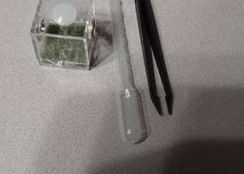 Micro terrarium akrylowe 3,5x3,5x3,5cm z wystrojem + GRATIS