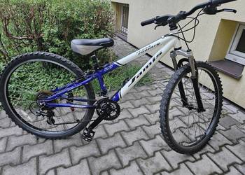 Rower gorski 26 cali niska rama