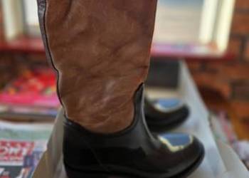 carinii a9271 memory topo 1250