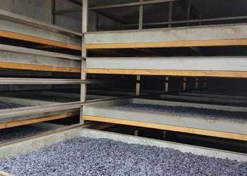 Profesjonalne suszenie i mielenie owoców, warzyw, zbóż oraz ziół