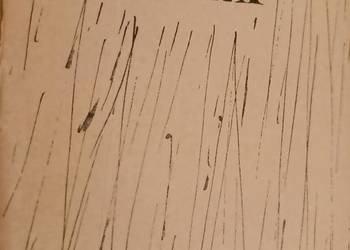 Ulewa Słomczyński księgarnia antykwariat Praga