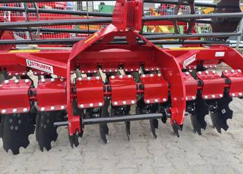 BRONA TALERZOWA TIGER JUNIOR FIRMY STRUMYK