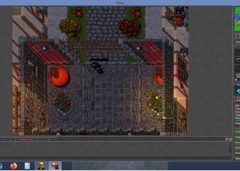 Sprzedam postac na Tibii na OTS 207 EK