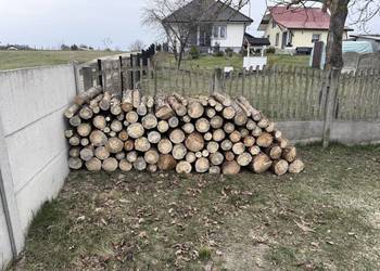 Drewno opałowe Sosna