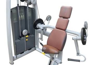 Maszyna na biceps Arm Curl Technogym Selection