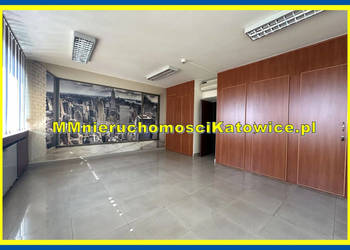 Biura do wynajęcia w Katowicach, cały biurowiec, duży parking, garaże