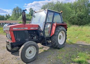 Ursus c385