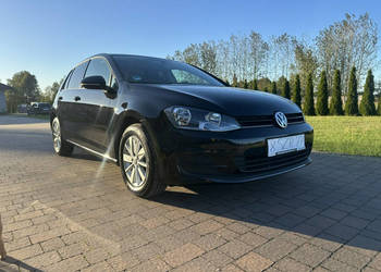 Volkswagen Golf VII (2012-)