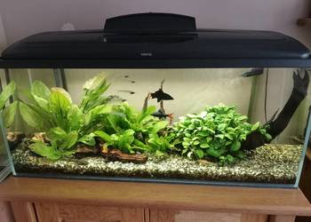 Akwarium 120x40x50m , szkło 10mm Optiwhite