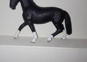 Konik Schleich