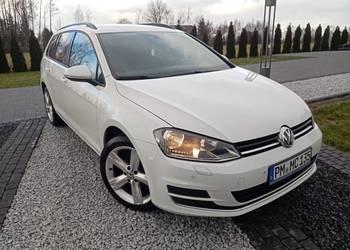 volkswagen golf 7 1.6 TDI