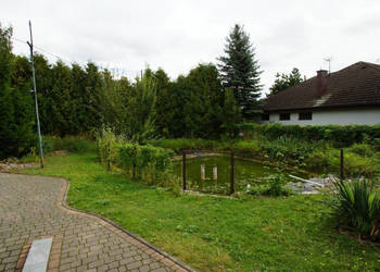 Dom wolnostojący Nowe Aleksandrowo Malinowa 223m2