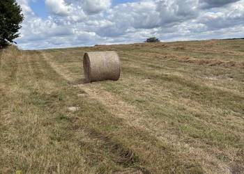 Sprzedam siano w okrągłych belach