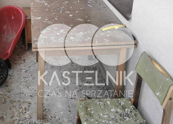 Sprzątanie po gołębiach Świebodzice – Kastelnik, mycie balkonów, strychów