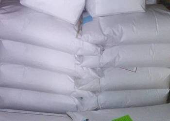 Owies Gepard C/1 woreczek 20kg  zaprawiony gotowy