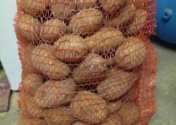 Ziemniaki bardzo smaczne