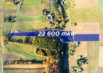 Dom z kawałkiem lasu i bijącym źródłem obok Skały