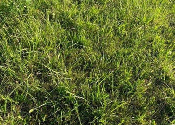 Działka budowlana nad morzem Trzęsacz