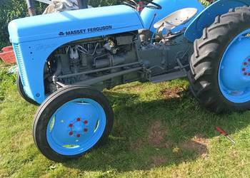 Massey Ferguson 20 tea benzyna