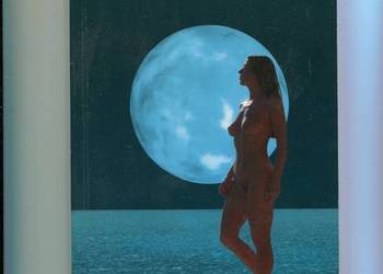 Kobieta bez winy i wstydu - Wojciech Eichelberger