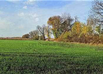 Mnichowice, działka budowlana 1273 m2
