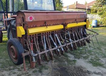 Siewnik zbożowy poznaniak