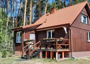 Wynajmę domek w Jabłonowcu(5km Farma Iluzji)dla4 osób-las ci