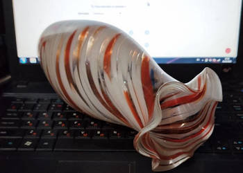 Sprzedam wazon i wszystko co na zdjęciu